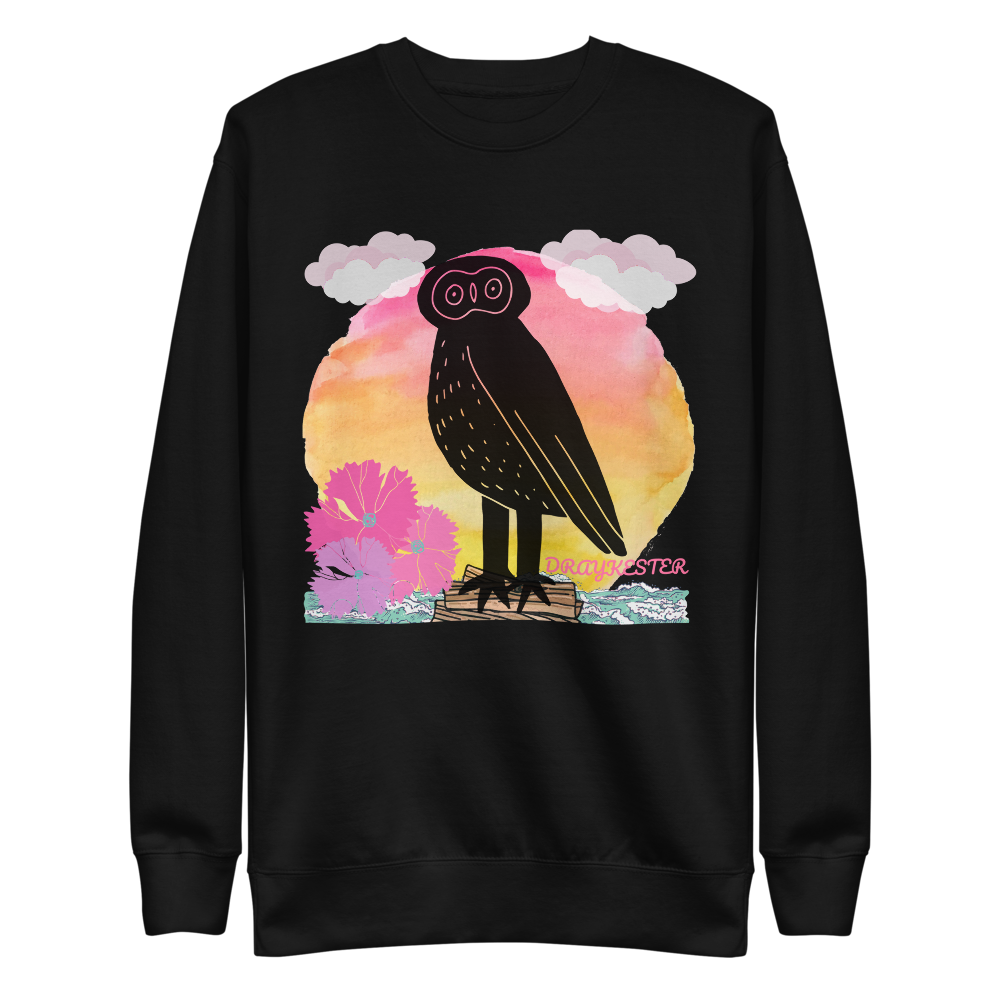 Draykester Adrift! - Sweatshirt
