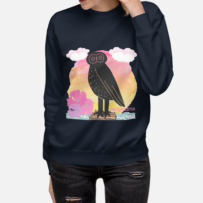 Draykester Adrift! - Sweatshirt