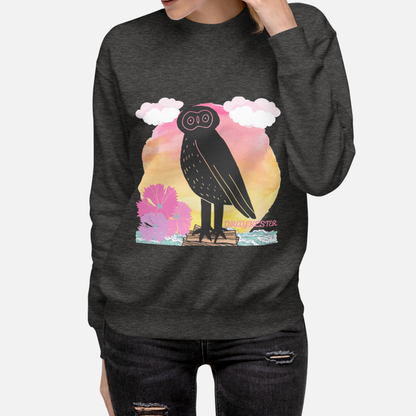 Draykester Adrift! - Sweatshirt