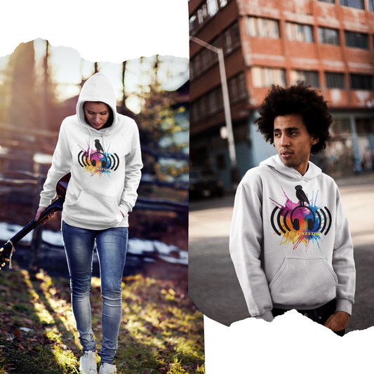 Draykester Audio Blare! - Hoodie