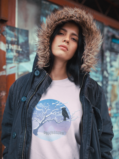 Draykester Winter Night!