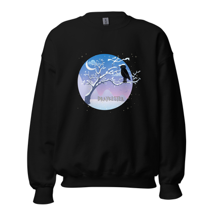 Draykester Winter Night!