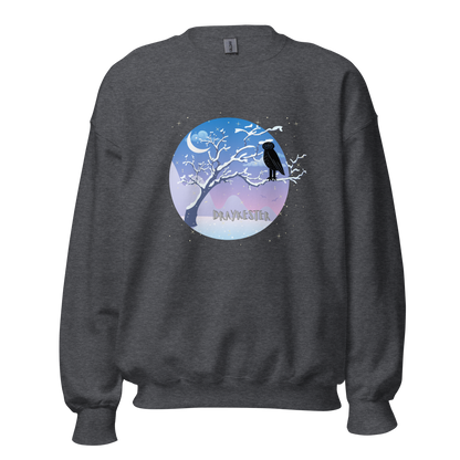 Draykester Winter Night!