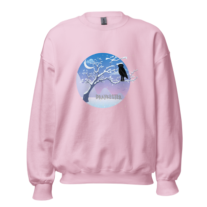 Draykester Winter Night!