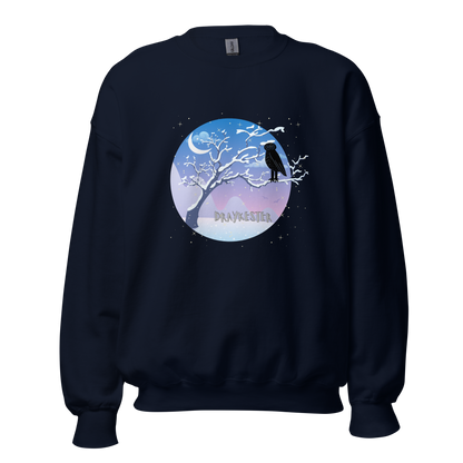 Draykester Winter Night!