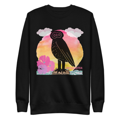 Draykester Adrift! - Sweatshirt