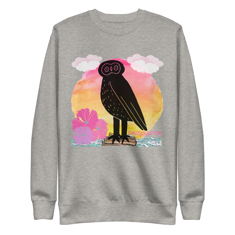 Draykester Adrift! - Sweatshirt