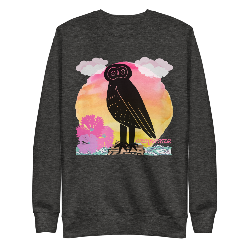 Draykester Adrift! - Sweatshirt
