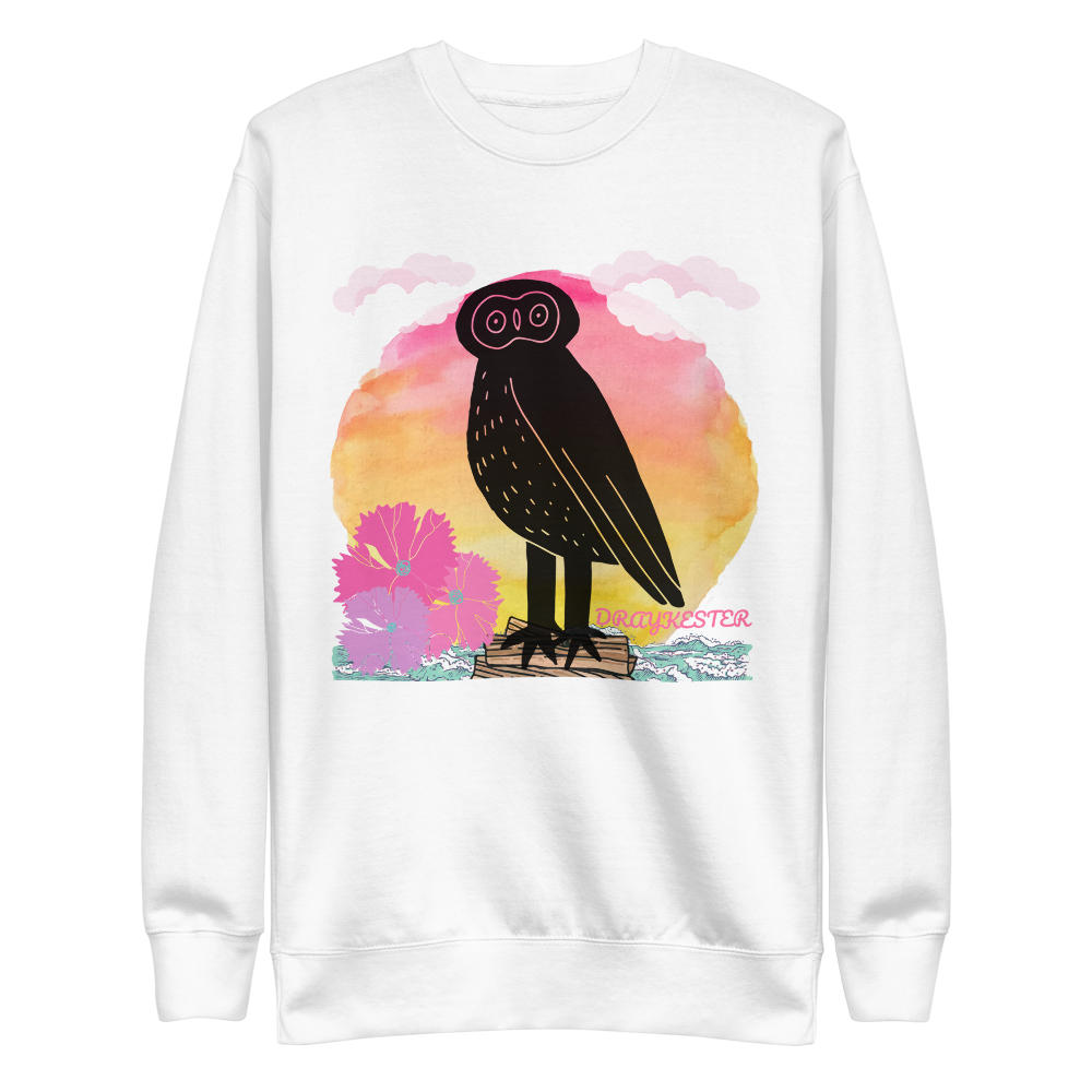 Draykester Adrift! - Sweatshirt