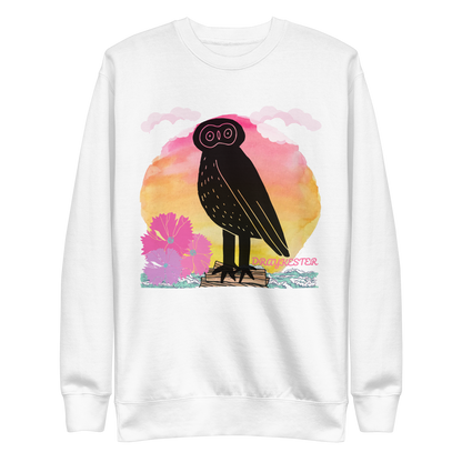 Draykester Adrift! - Sweatshirt