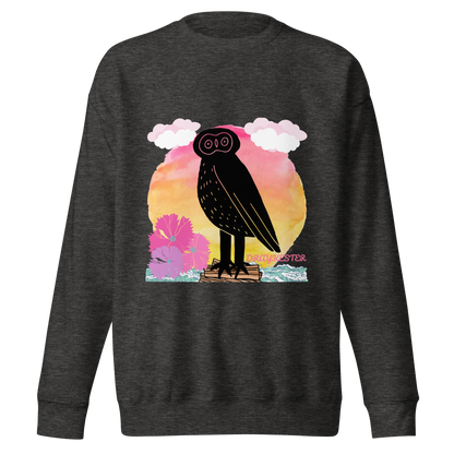 Draykester Adrift! - Sweatshirt