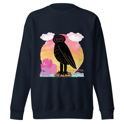 Draykester Adrift! - Sweatshirt